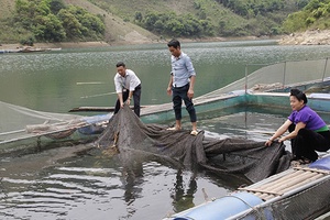 Đảng bộ xã Mường Khiêng tập trung lãnh đạo phát triển kinh tế