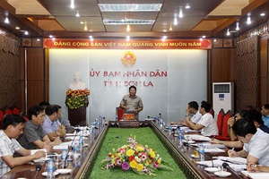 Họp Tổ công tác rà soát, đánh giá kết quả thực hiện Chương trình phát triển cây cao su