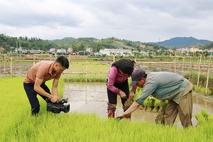 Những người làm báo ở cơ sở