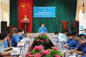 Hội nghị Ủy ban Hội LHTN Việt Nam tỉnh lần thứ VIII, khóa IV, nhiệm kỳ 2014 - 2019