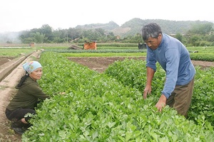 Nông dân Mường Sang thi đua sản xuất, kinh doanh giỏi