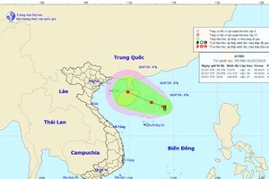 Khẩn trương ứng phó với áp thấp nhiệt đới