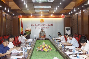 Họp tổ công tác rà soát, đánh giá kết quả thực hiện chương trình phát triển cây cao su trên địa bàn tỉnh giai đoạn 2007-2018