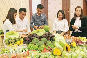 HTX Nông nghiệp xanh 26/3: Phát triển nông nghiệp công nghệ cao, an toàn, thân thiện