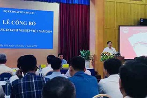 Công bố Sách trắng doanh nghiệp Việt Nam 2019