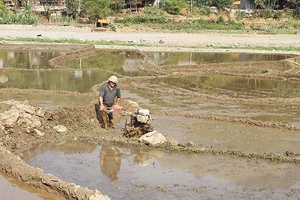 Bắc Yên vào vụ mùa