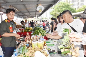 Sơn La sẵn sàng cho vụ xuất khẩu nhãn 2019