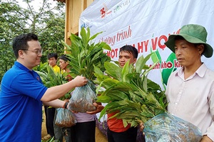 Trao tặng 21.000 cây giống thảo quả cho bà con có hoàn cảnh khó khăn