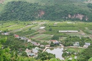 Sản xuất theo chuỗi ở hợp tác xã Hoa Quả Sơn