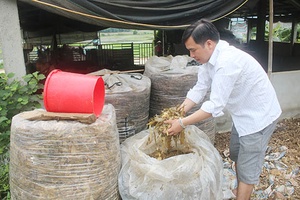 Tỷ phú từ chăn nuôi bò