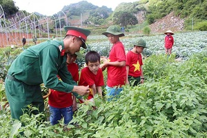 Đổi mới “Học kỳ trong quân đội”