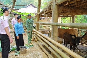 Hiệu quả chính sách giảm nghèo ở Thuận Châu