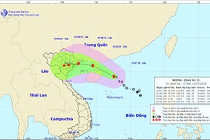 Khẩn trương ứng phó bão số 3