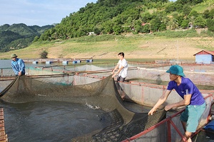 Tường Phong phát triển nuôi trồng thủy sản