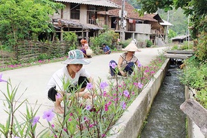 Quỳnh Nhai giữ gìn môi trường nông thôn xanh - sạch - đẹp