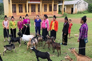 Phụ nữ Thành phố đẩy mạnh các phong trào thi đua