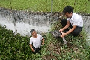 Toàn tỉnh khai thác 642 tấn thủy sản trong tháng 7