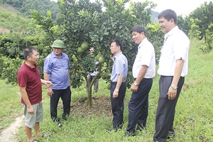 Đồng chí Phó Chủ tịch UBND tỉnh kiểm tra tiến độ xây dựng nông thôn mới tại huyện Phù Yên