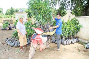 Tân Hợp đẩy mạnh chuyển đổi cơ cấu kinh tế