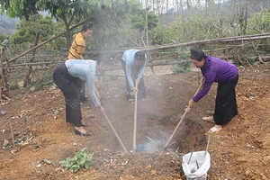 Phụ nữ chung tay bảo vệ môi trường