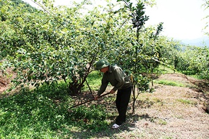 Xuân Nha nỗ lực giảm nghèo