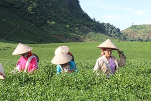 Đẩy mạnh chuyển giao khoa học kỹ thuật cho đồng bào dân tộc
