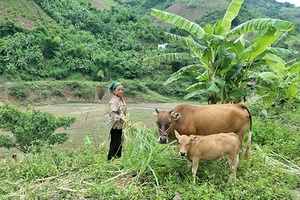 Tăng cường sự lãnh đạo của Đảng đối với công tác tín dụng xã hội