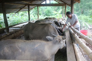 Bí thư, trưởng bản gương mẫu