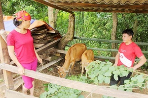 Hua Păng đẩy mạnh chuyển đổi sản xuất, xóa nghèo