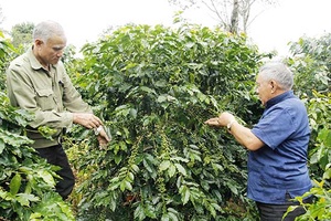 Già làng uy tín ở bản Hốm