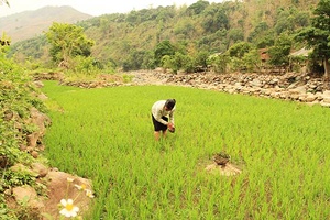 Ghi ở Pắc Ngà