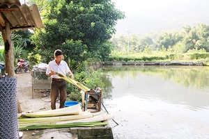 Hiệu quả nguồn vốn Quỹ hỗ trợ nông dân ở Phù Yên