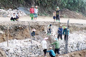 Huy động gần 76.500 tỷ đồng phát triển nông nghiệp, nông thôn