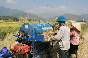 Ngày mùa trên cánh đồng Mường Tấc