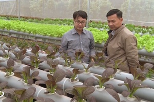 Góp phần tạo việc làm cho lao động nông thôn