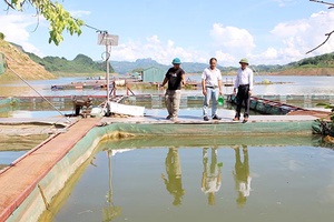 HTX Thủy sản Hồ Quỳnh tăng thu nhập cho các thành viên