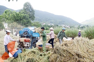 Phù Yên đẩy mạnh phát triển kinh tế nông nghiệp, nông thôn