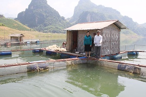 Chiềng Lao khống chế kịp thời dịch bệnh trên đàn cá