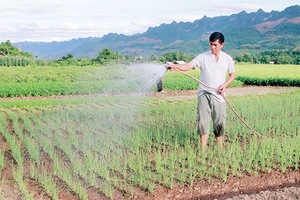 Yên Châu chuẩn bị vào vụ đông