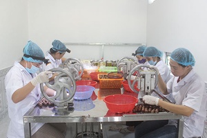 Hỗ trợ doanh nghiệp xây dựng và đăng ký thương hiệu