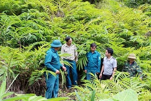 “5 có, 5 không” trong đồng bào dân tộc Mông ở Quỳnh Nhai