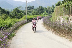 “Tuyến đường nở hoa” của phụ nữ xã Mường Cơi