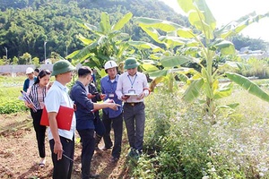 Thành phố: Tổ chức cưỡng chế thực hiện Quyết định thu hồi đất đối với 32 hộ dân để thực hiện Dự án đầu tư xây dựng Khu dân cư thương mại suối Nậm La - Lô số 5
