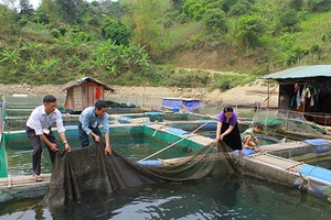 Mường Khiêng quan tâm đời sống người dân tái định cư