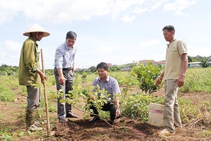 Đẩy mạnh nghiên cứu, chuyển giao công nghệ vùng đồng bào dân tộc thiểu số