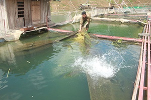 Toàn tỉnh: 2.730 ha nuôi trồng thủy sản