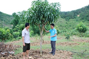 Chi bộ bản Cống lãnh đạo nhân dân phát triển kinh tế