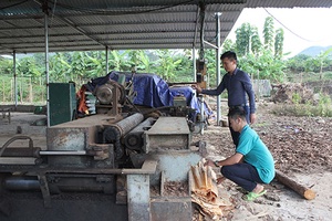 HTX Tâm Tín sản xuất hiệu quả, bền vững