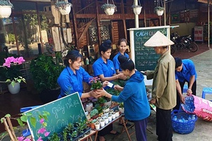 Huyện Đoàn Thuận Châu: Chương trình đổi giấy, nhựa lấy cây xanh