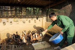 Bạn của nhà nông